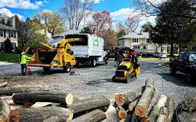 Best Firewood Processing and Delivery  in Coal Run Village, KY