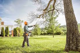 Best Weed Control  in Coal Run Village, KY