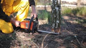 Best Lawn Irrigation Installation and Maintenance  in Coal Run Village, KY