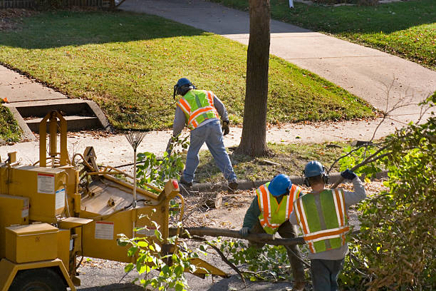 Lawn Watering Services in Coal Run Village, KY